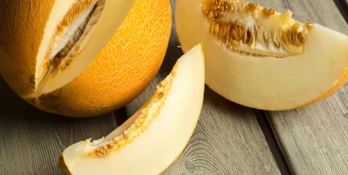 дыня в разрезе